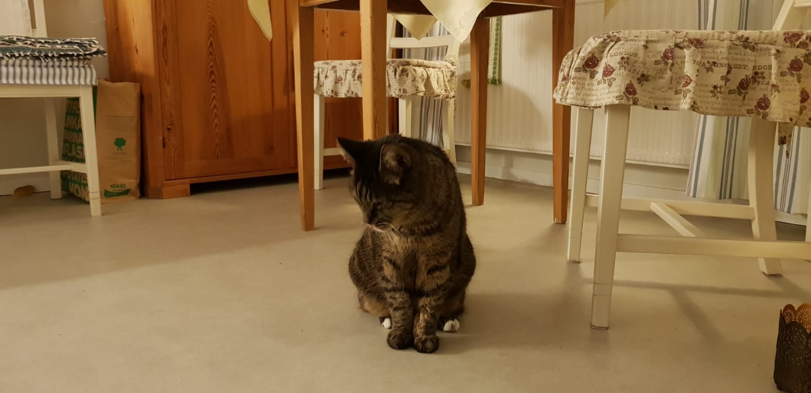 WhatsApp Image 2019-03-16 at 10.44.15